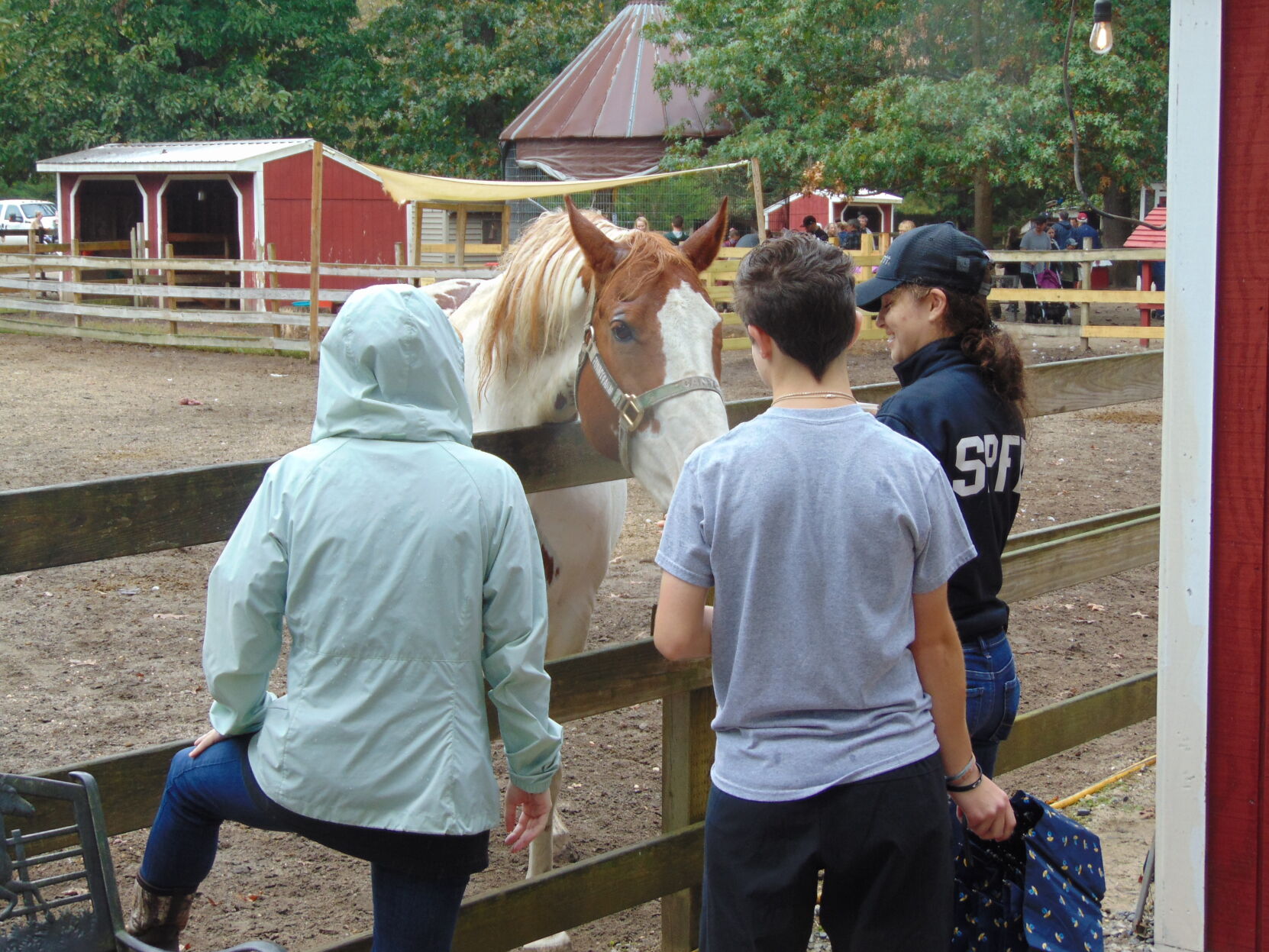 Farm gallery 17.JPG